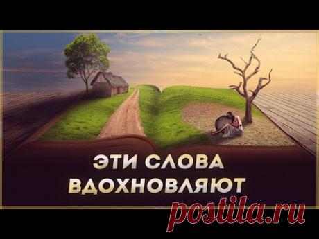 Сильные слова из книги, которые дают мотивацию жить