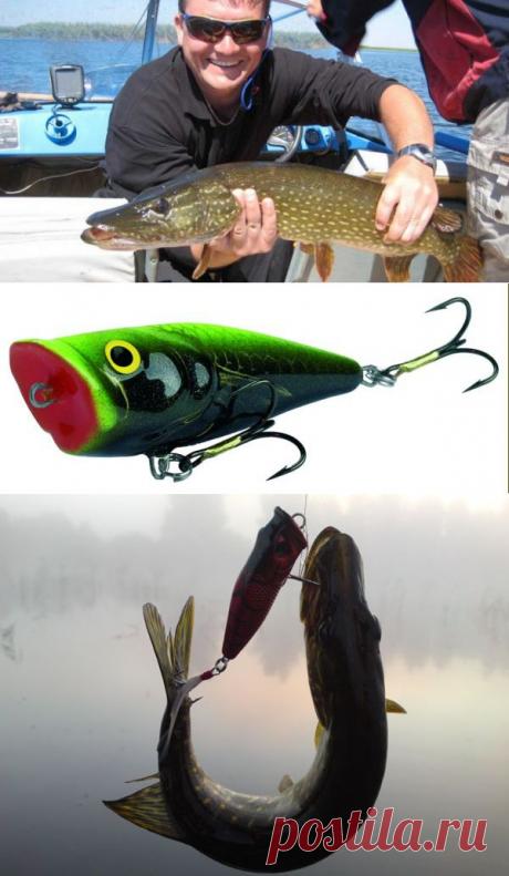 Щука на поппер