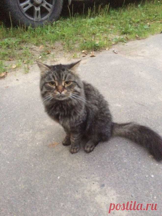 Заберите 