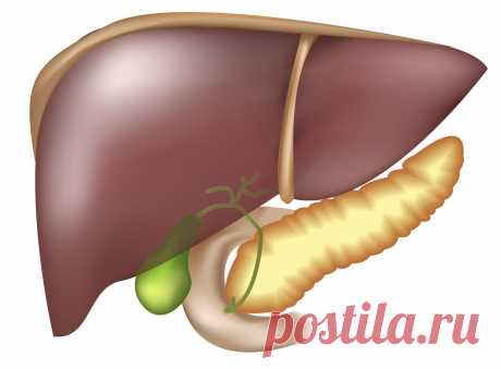 Очищение печени народными средствами