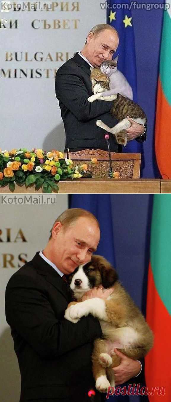 Это Лиска, вечно портит семейные снимки, серьезно сказал Вась. | KotoMail.ru