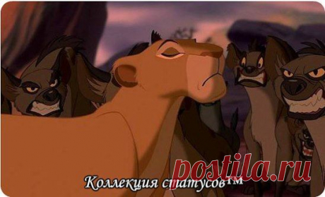 Какие бы гиены Вас не окружали, оставайтесь Королевой.