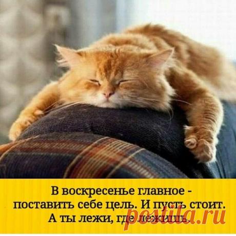 Рыжий