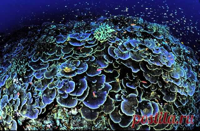 8425324622_faf2cabb67_o.jpg (640×420)