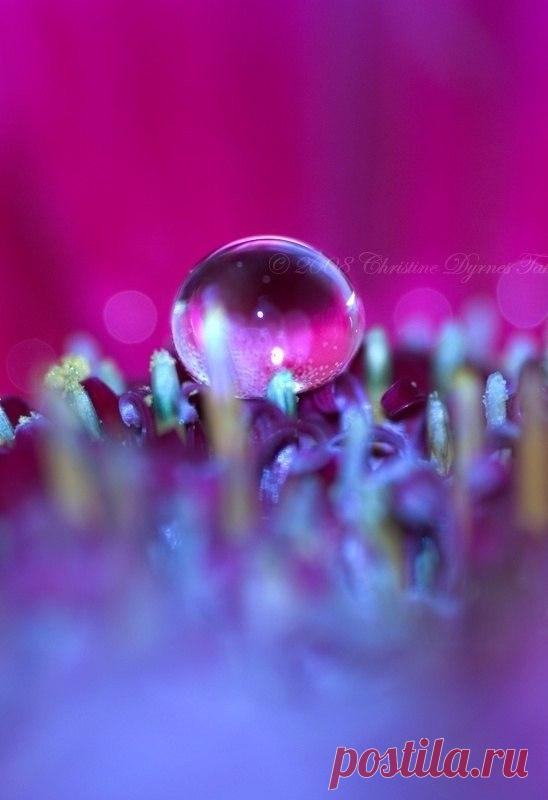 (4) Мой Мир@Mail.Ru