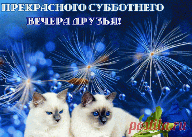 Красивые и прикольные картинки с Субботой | Открытки бесплатно