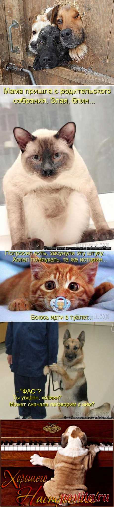 Майский позитив