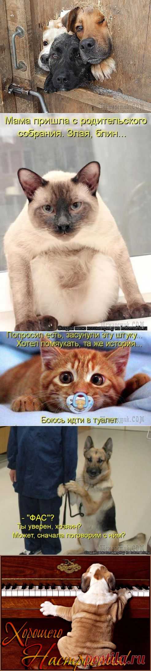 Майский позитив