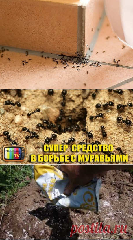 (54) Одноклассники