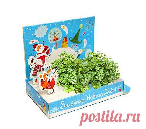 ДомСадок. Живая открытка Зеленого Нового Года!. Happy Plant. Набор для выращивания. Подарок который растет.. Арганик. Купить. Интернет-магазин, доставка почтой и курьером.