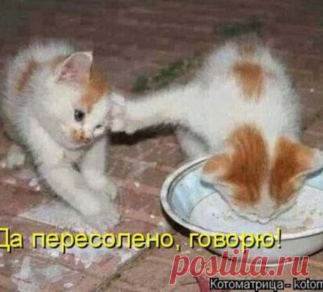 Хитрости Жизни
