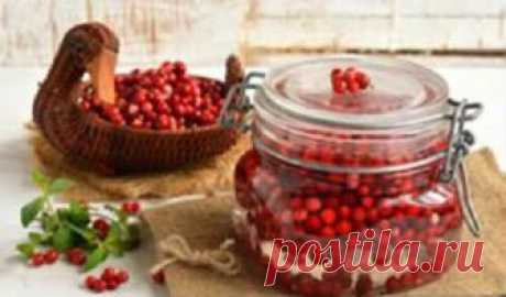 Брусника на зиму - рецепты без варки