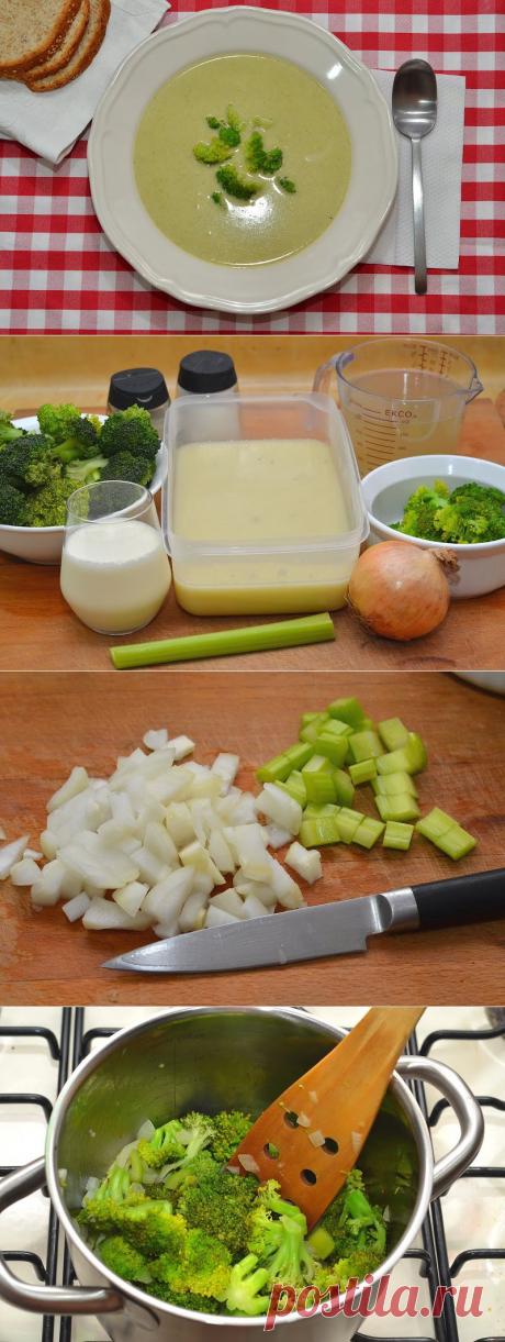 Крем-суп с брокколи | Ваши любимые рецепты