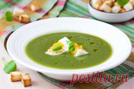 Как вкусно приготовить суп-пюре из брокколи: рецепт - Приготовление супа-пюре из брокколи не занимает более 30-40 минут. Все ингредиенты доступны, особенно в летне-осенний сезон. Чтобы радовать родных круглый год вкусными и полезными блюдами, замораживают овощи впрок. Пюреобразный суп... Read more »