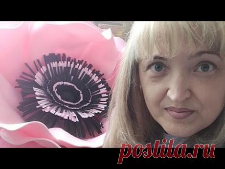 Делаем Анемон в Прямом эфире.