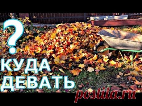 ОПАВШУЮ ЛИСТВУ КАК ИСПОЛЬЗОВАТЬ?