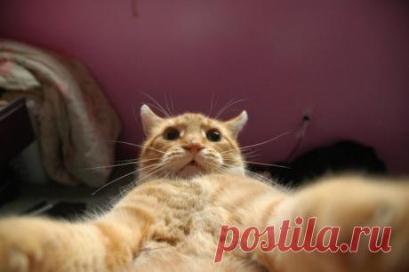 Эти Потрясающие Фотографии Butch Женщин Заставит Вас Думать По-Другому О Том, Как Вы Видите Женщин