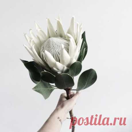 (22) Pinterest: инструмент для поиска и хранения интересных идей