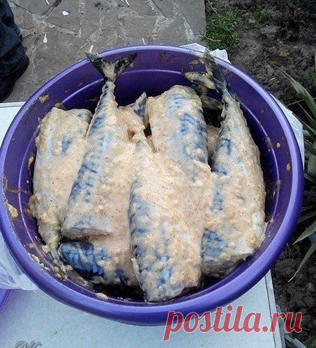 Скумбрия на мангале.