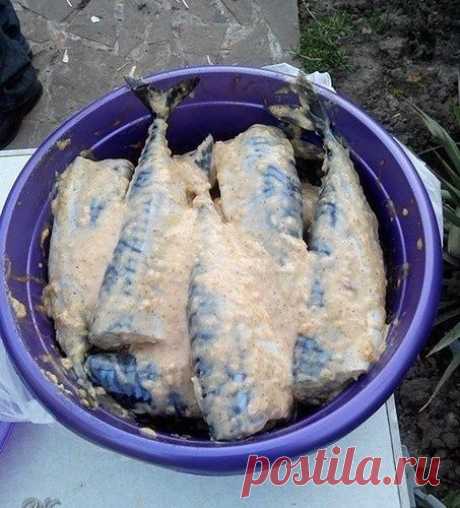 Скумбрия на мангале.
