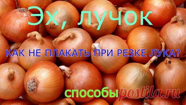 Как не плакать от лука | Глазами Повара | Яндекс Дзен