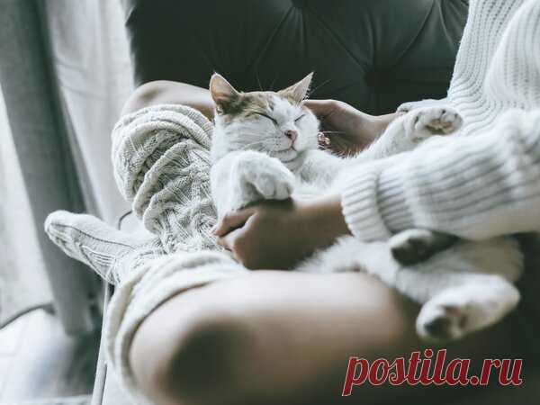 полезные советы | Яндекс Дзен