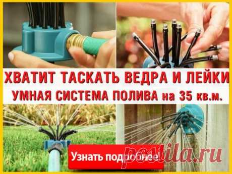 Китайская «скимминг» диета: Восточный подход к активному очищению и похудению за неделю | Блоги о даче и огороде, рецептах, красоте и правильном питании, рыбалке, ремонте и интерьере