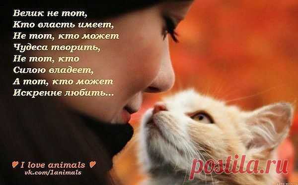 Мой Мир@Mail.Ru