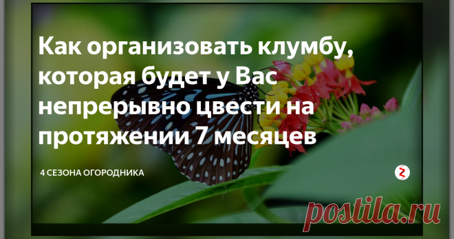 Как организовать клумбу, которая будет у Вас непрерывно цвести на протяжении 7 месяцев Кто не мечтает о том, чтобы его клумба была самой яркой и красивой с первых теплых деньков весны и до глубокой осени....