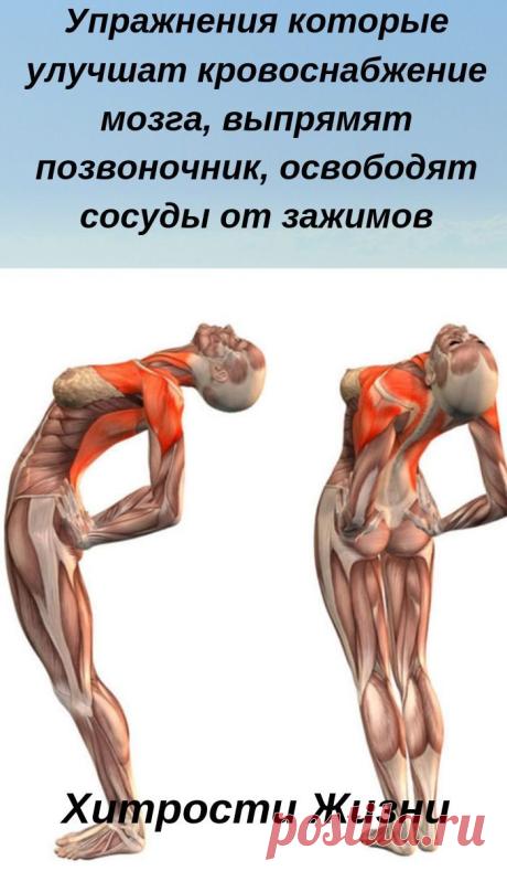 Упражнения, которые выпрямят позвоночник - Советы для женщин