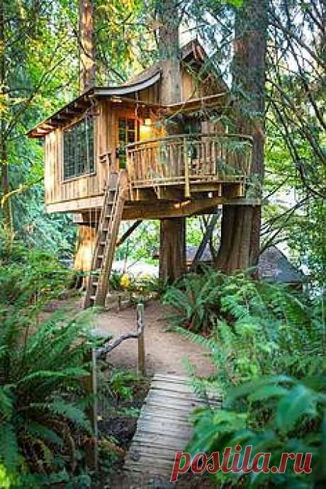 Pinterest