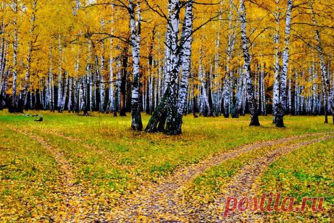 ФОТОМАСТЕРСКАЯ ПРИРОДЫ
Валентина Кобцева