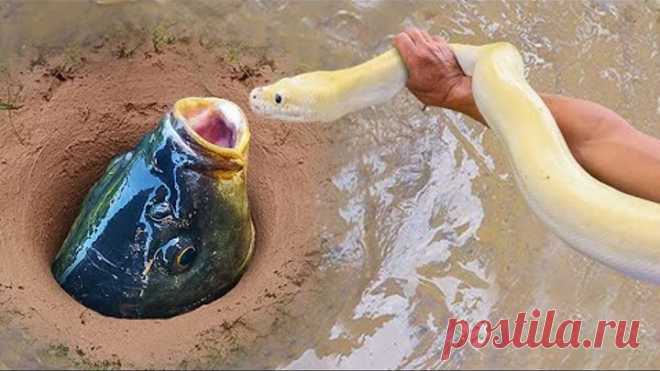 Wow!! Unbelievable Fishing Technique | Use A Snake To Catch Fish In A Pit Deep In The Ground