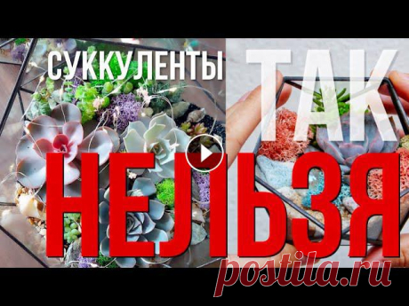 К суккулентам добавлять мох нельзя - это большая ошибка, которую совершают почти все студии, кто делает флорариумы на продажу. Правильный грунт для су...