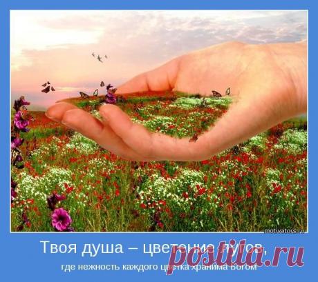 =ЗДОРОВЬЕ - Мудрых Гонорар + долголетие жизни=.