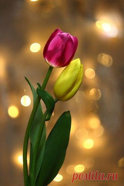 Интересные новости