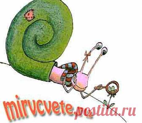 Сколько путей достижения цели? Причины неудач на каждом пути | Мир в цвете: позитивное мышление, истории успеха, радости жизни