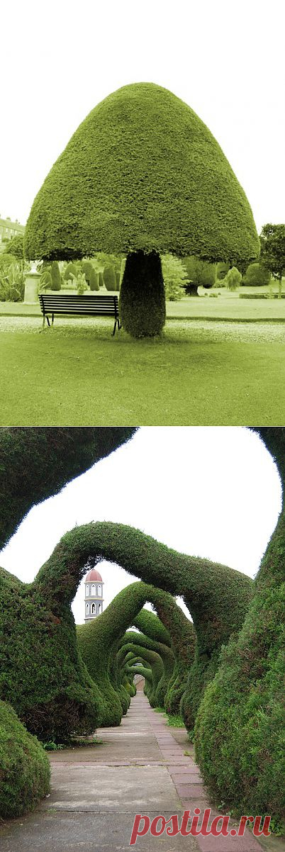 The Aestate: Topiaries!