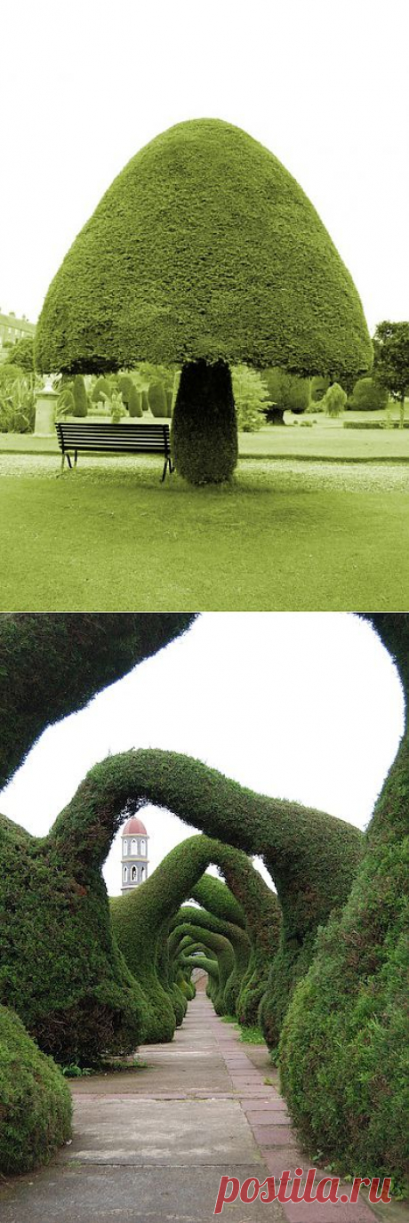 The Aestate: Topiaries!
