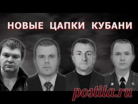 Новые Цапки Кубани | Аналитика Юга России