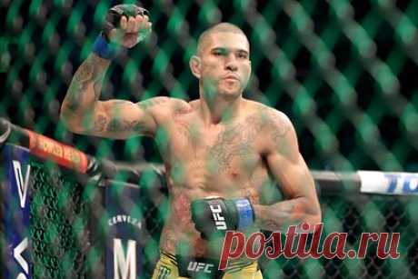 Чимаев бросил вызов чемпиону UFC. Шведский боец смешанного стиля (MMA) Хамзат Чимаев бросил вызов чемпиону UFC бразильцу Алексу Перейре. «Дайте мне подраться с этим парнем, я прикончу его. Это легкие деньги», — написал швед чеченского происхождения. Чимаев добавил, что готов провести поединок в Бразилии.