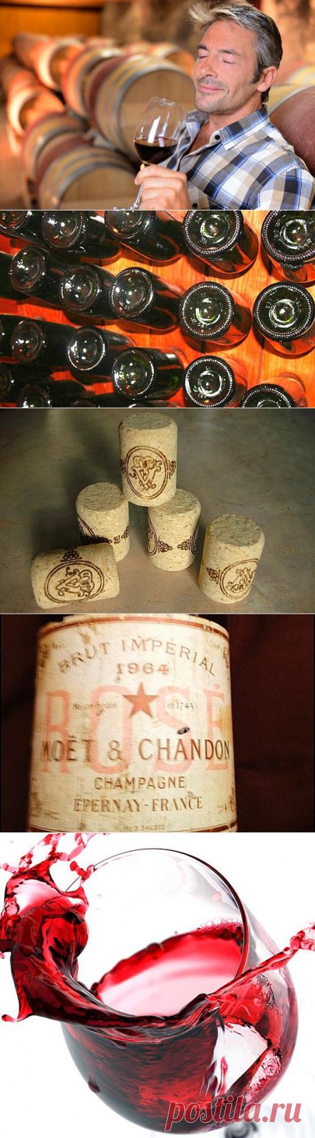 Как определить самостоятельно — настоящее вино, или нет? / Нечто / 69news.ru Для опытных!