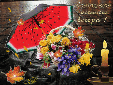 (89) Мой Мир@Mail.Ru