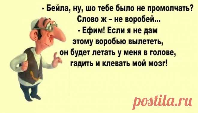 Еврейские анекдоты и истории для поднятия настроения!