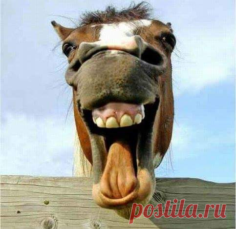 (7) Facebook