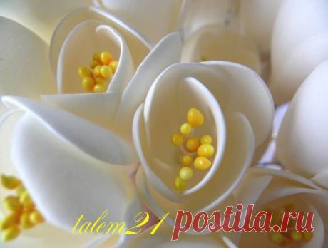 МК Тычинки для цветов