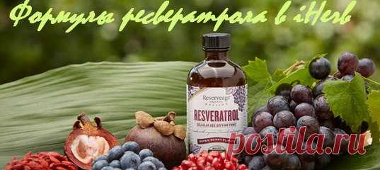 Формулы ресвератрола в iHerb.
Омолодит, защитит нервную систему и уберёт лишний вес

 Ресвератрол относится к группе полифенолов, которые содержатся в растениях (фитонутриенты, пигменты) - его содержат ягоды (красный и черный виноград, черника, шелковица, клюква), орехи, сосна веймутова, сосна обыкновенная, стебли и корни японского горца, эвкалипт и еще более 70 видов растений, фруктов, овощей.
Показать полностью…
