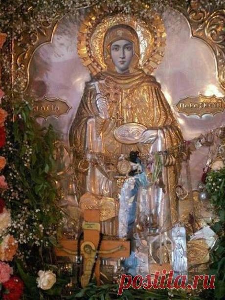 Gocha Janelidze