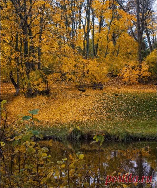 I dreamed of autumn - Eleonora Grigorjeva - LensArt.ru