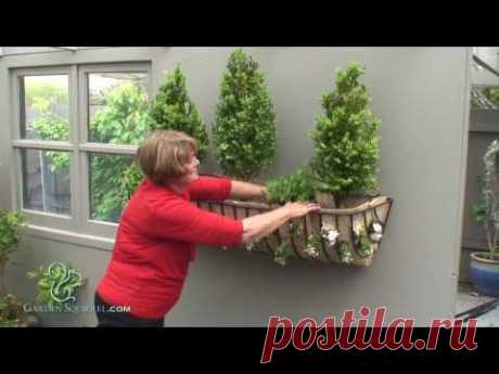 Windows Box - Advanced